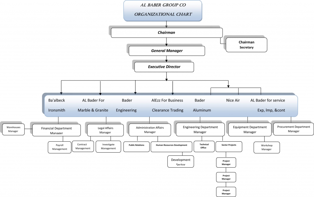 Microsoft Word - ORG1.docx
