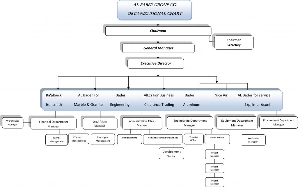 Microsoft Word - ORG1.docx